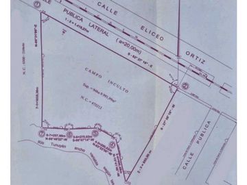 VENTA O PERMUTA DE CAMPO 50 HAS EN LAS CATITAS- SANTA ROSA