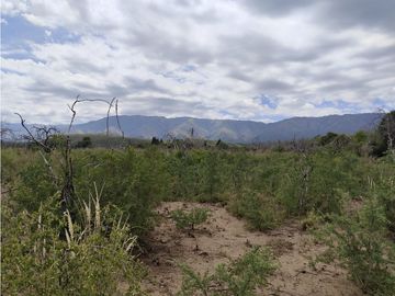 VENTA CAMPO TRASLASIERRAS LUYABA 4 HECTAREAS VEGETACION...