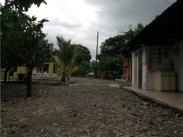 Finca Productora de Cacao de 6 Hect en Venta o Permuta...