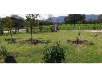 VENTA CAMPO 11 HECTAREAS SAN LUIS PAPAGAYOS MERLO
