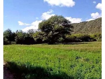 VENTA 78 HECTAREAS SAN LUIS AGRICULTURA ECOLOGICA...
