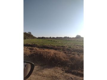 VENTA CAMPO 830 HECTAREAS SAN LUIS FINANCIACION...