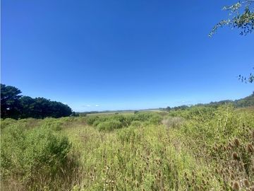 LATORRE PROP. VENDE 3 HECTAREAS EN SIERRA DE LOS PADRES