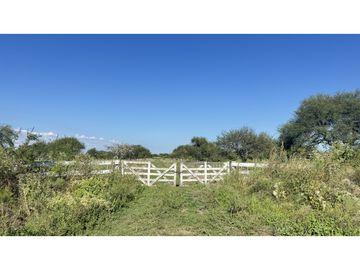 CAMPO GANADERO EN VENTA - 118 HAS- BOVRIL, DPTO LA PAZ