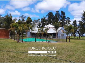 Campo en venta en Bavio. 185 has mixto
