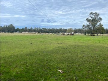 LATORRE PROP. VENDE QUINTA / CAMPODE 4 HECTAREAS