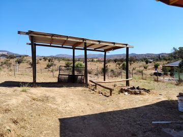 ARRIENDO DOS CASAS EN MEDIA HECTAREA