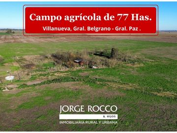 Campo agrícola de 77 Has. en Villanueva, Gral. Belgrano...