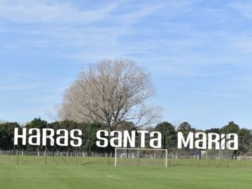 Haras Santa Maria Barrio "El TREBOL"  sobre GOLF