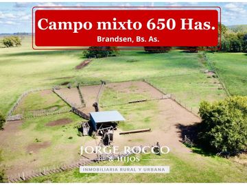 Campo mixto de 650 Has. en venta en Brandsen