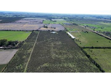 Vendo Campo 12 Has en Colonia Caseros Entre Ríos