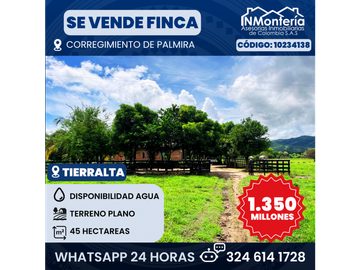 SE VENDE FINCA EN CORREGIMIENTO PALMIRA, MUNICIPIO DE...