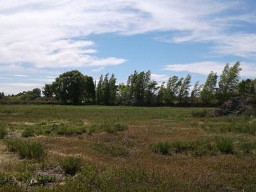 Chacra - Bryn Gwyn