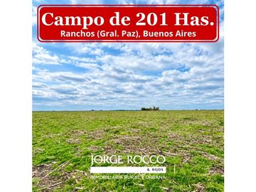 Campo de 201 Has en Ranchos (Bs. As.)