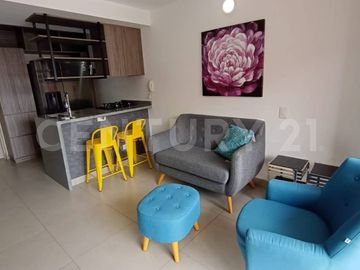 ALQUILER APARTAESTUDIO EN FLORA