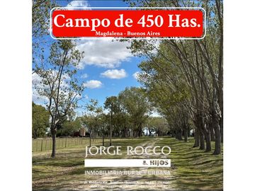Campo de 450 Has en Magdalena (Bs. As.)