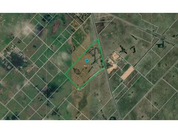 Campo de 131 has en Venta en Florencio Varela