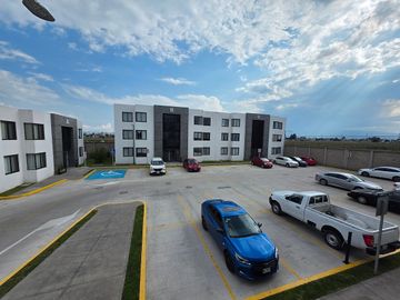 Departamento en renta en la Zona Dorada de San Mateo