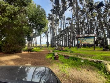 ALGARROBO, EL CANELO GRAN PROPIEDAD CON CABAÑAS POSIB RENTA