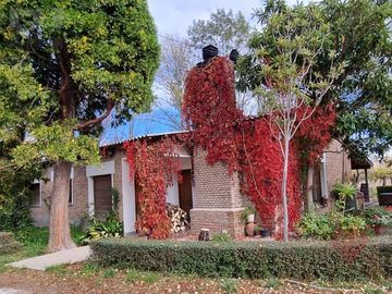 Chacra de 12 Hectareas en Venta ALLEN