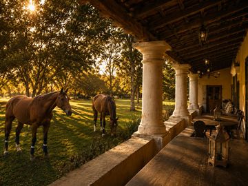 Estancia histórica de 1830 restaurada con 42 hectáreas a...