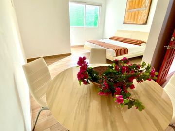 DEPARTAMENTO EN RENTA EN PLAYA DEL CARMEN A 2 CALLES DE...