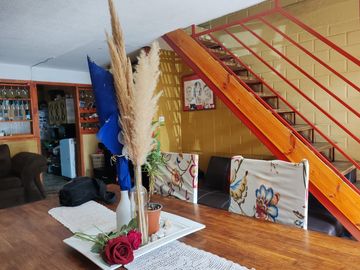 FLOR DE GALLO, CASI MANUEL TOLEDO G.