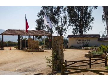 La mejor parcela de La Foresta, Zapallar