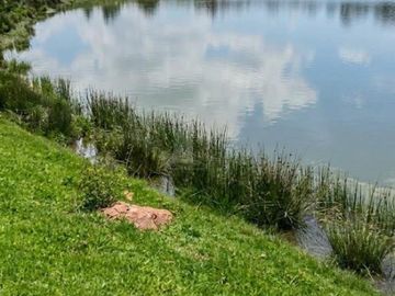 Rancho Agrícola-Ganadero de 380,000 metros cuadrados con...