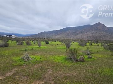 ¡OPORTUNIDAD! 5.000 m2 cerca de Ruta D-51 y El Peñón