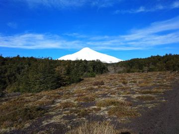 CAMPO 31,45 HA  FALDEO DEL VOLCAN VILLARRICA