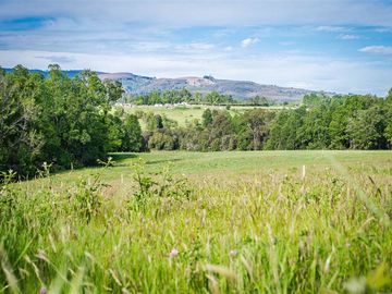 Sitio 5000 M2 en Venta en Paillaco