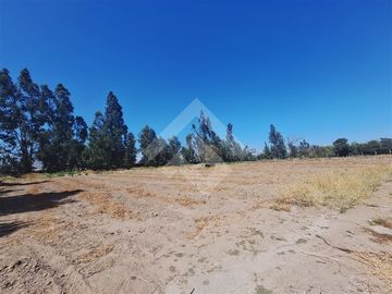 Sitio en arriendo en Talagante