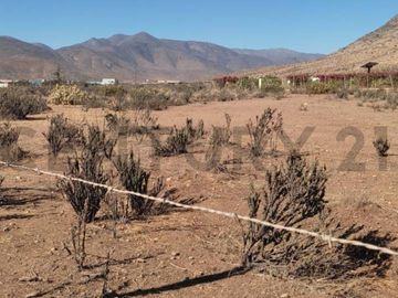 Vendo terreno 9600m2. agro industrial plano