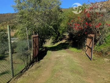 TERRENO CON PRODUCCION DE PALTOS Y CASA - SAN PEDRO - QTA