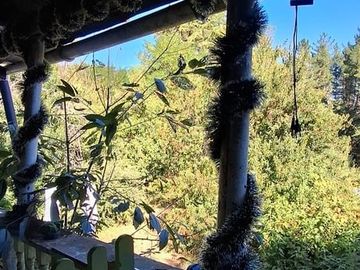 CASA EN PARCELA CON CABAÑA - VILLARRICA FREIRE