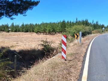 Oportunidad Habitacional, inversión o Agricola en Cauquenes