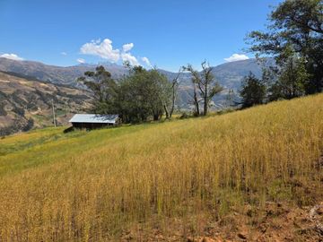 ¡OPORTUNIDAD ÚNICA DE INVERSIÓN AGRÍCOLA! VENTA DE...