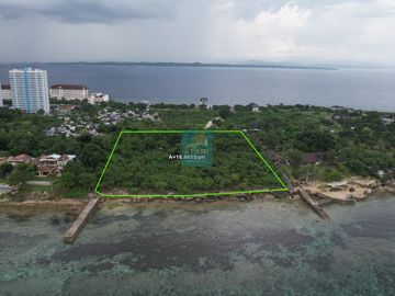 16,885 sqm Residential Lot for Sale in Punta Engaño,...