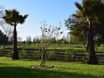 Vendo Parcelas En Sector Miraflores en Linares V...