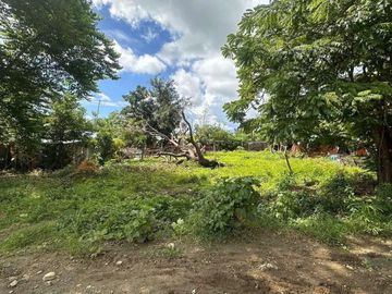 Residential Lot 972 sqm Clean title for Sale in Alaminos...