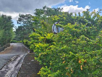 Residential Lot with View of the West Philippine Sea...