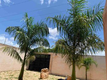 renta de departamento tipo loft