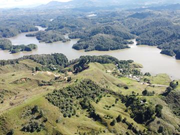 VENTA FINCA EN CAROLINA DEL PRINCIPE