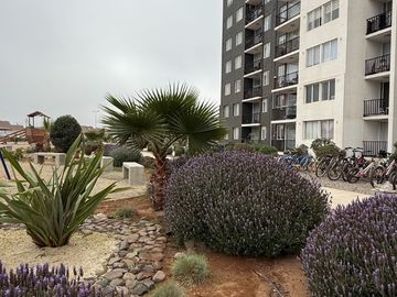 Arriendo departamento año corrido, cómodo de 3...
