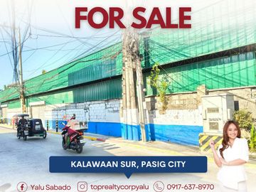 Prime Corner Commercial Property Along Elisco Road, Pasig