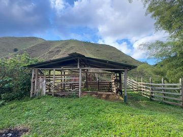 LOTE EN VENTA SECTOR  VEREDA SALAZAR AMALFI ANTIOQUIA