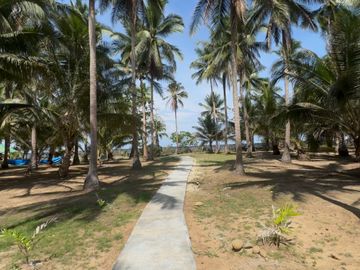 Dream Retirement Beach House in Palawan