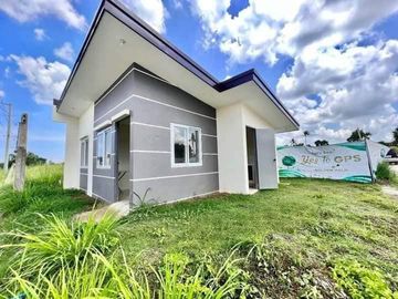FOR SALE! House and Lot w/ 2 BR Bungalow in Brgy...