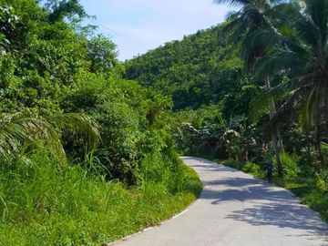 Expansive 4.5 Hectare Agricultural Lot in San Isidro...